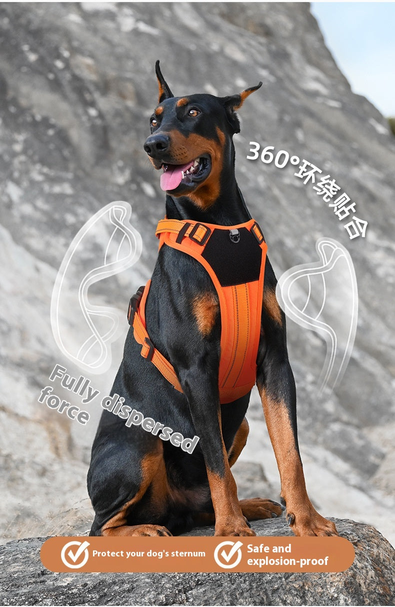 ARENVIA - Pet Hand Holding Rope Anti Breaking Loose Dog Harness
