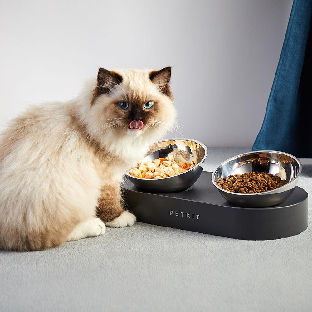 Water And Food Bowls