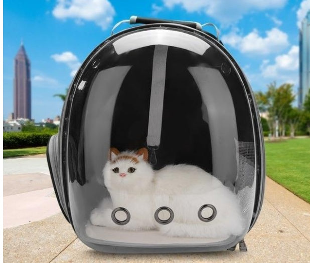 ARENVIA - Cat Bag Full Transparent Pet Space Bag