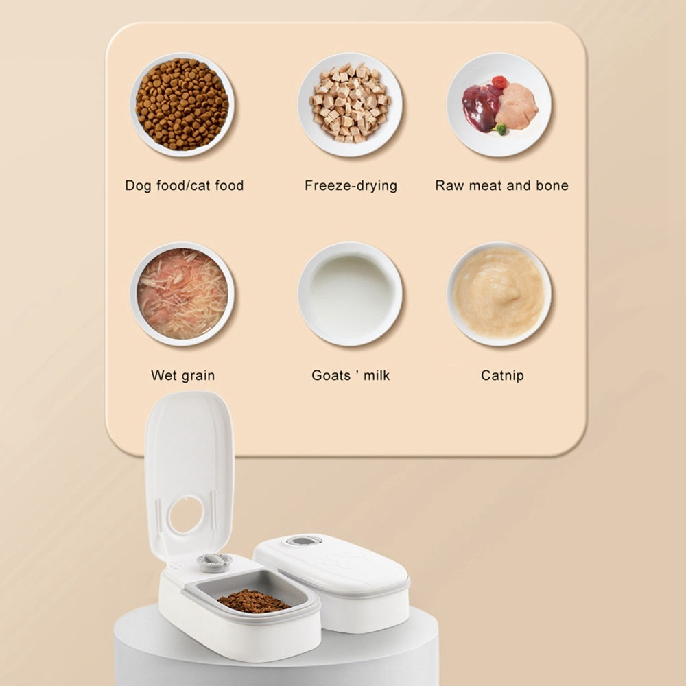 ARENVIA - Automatic Pet Feeder Smart Food Dispenser For Cats Dogs Timer Stainless Steel Bowl Auto Dog Cat Pet Feeding Pets Supplies