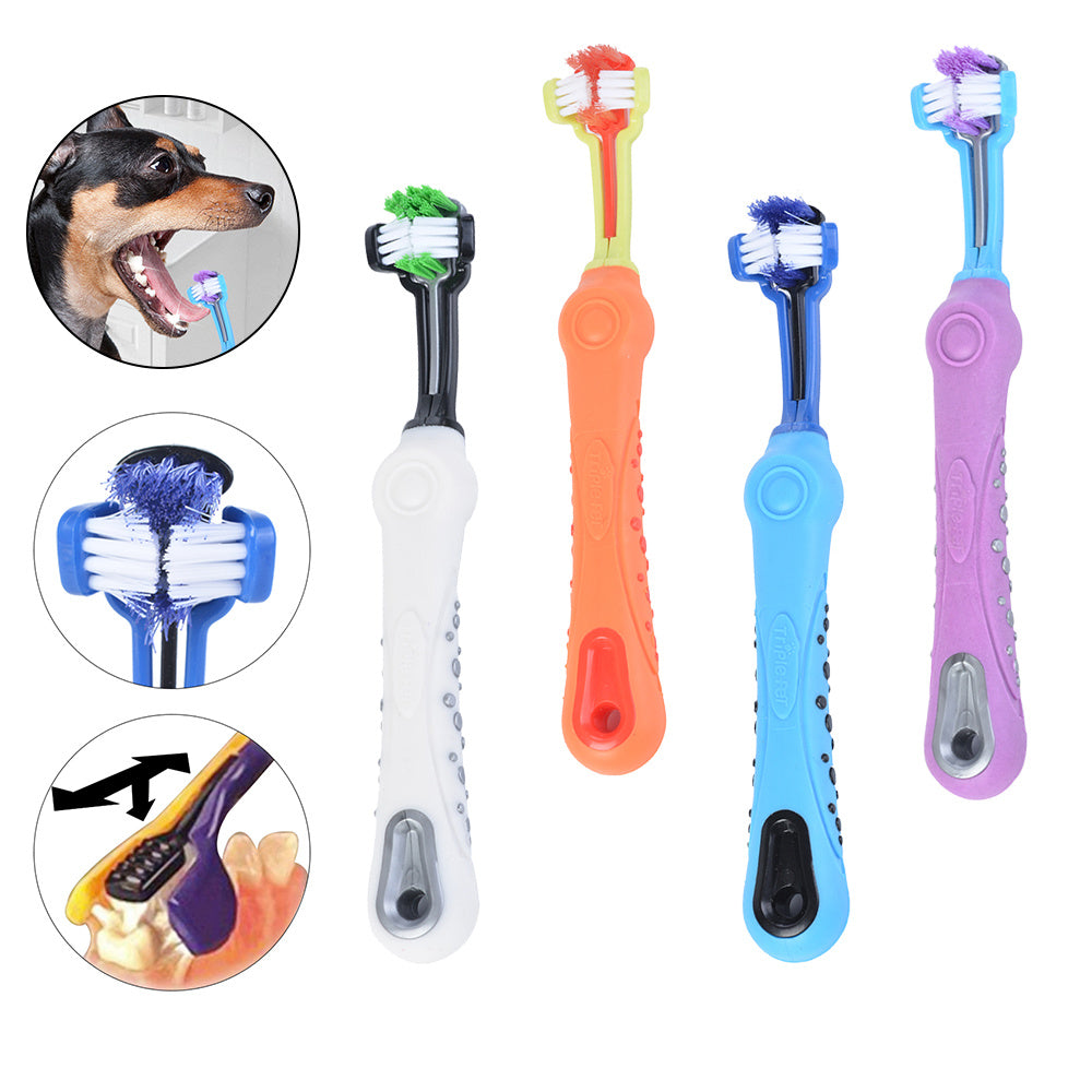 ARENVIA - Three Sided Pet Toothbrush