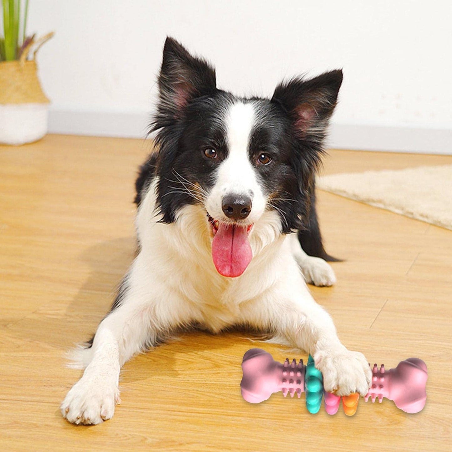 ARENVIA - Dog Chew Toy Dog Bone Type  Dogs Teeth Cleaning Toys Indestructible TPR Bone Chewing Bite Resistant Teething Toys  Pet Products
