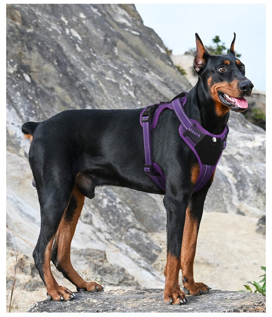 ARENVIA - Pet Hand Holding Rope Anti Breaking Loose Dog Harness
