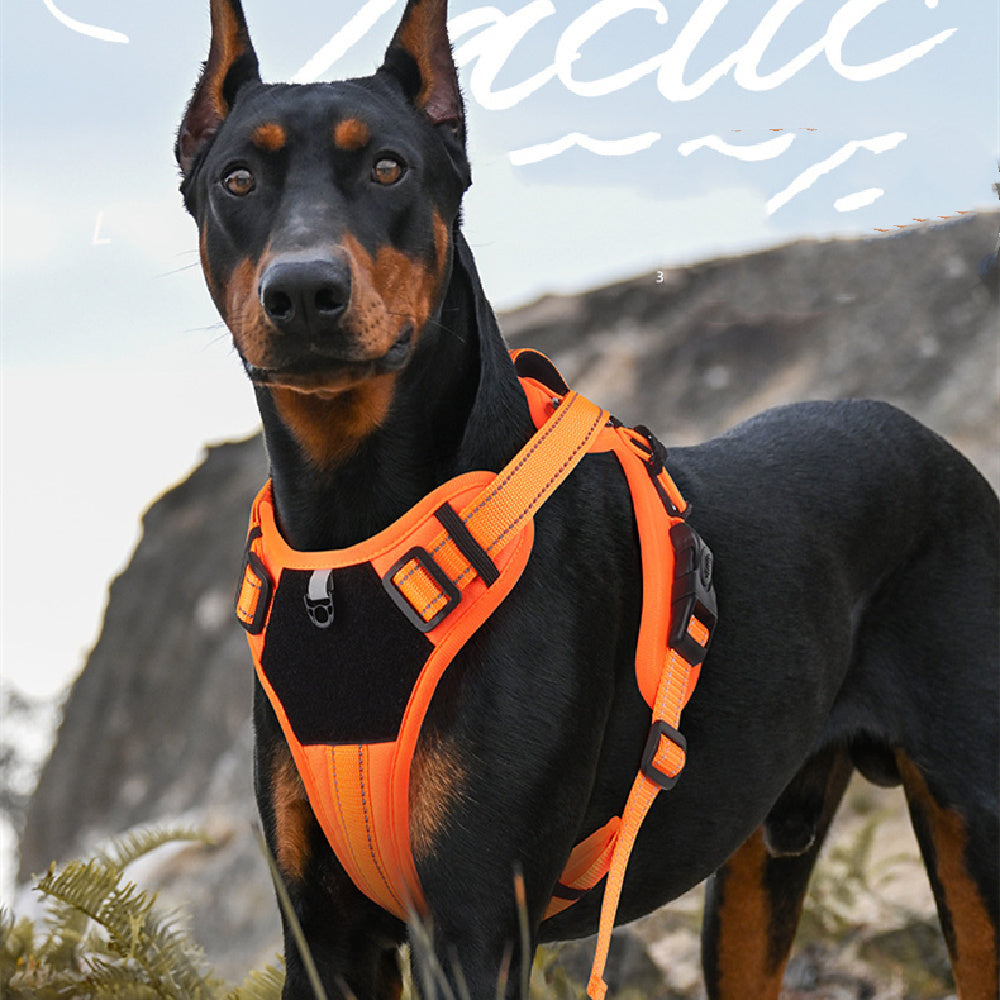 ARENVIA - Pet Hand Holding Rope Anti Breaking Loose Dog Harness