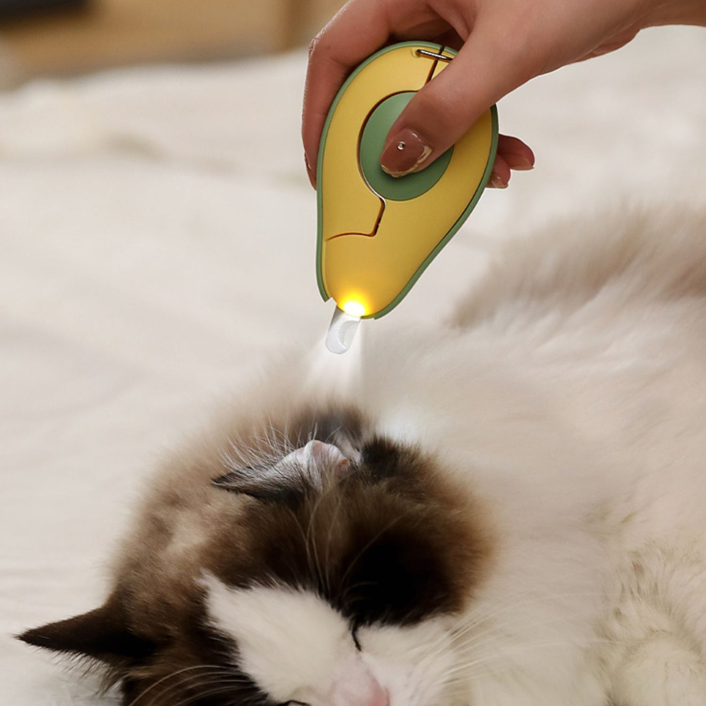 ARENVIA - Professional Pet Nail Clipper LED Light Pet Nail Clipper Claw Grooming Scissors For Small Dogs Cats Cutter Cat Accessories