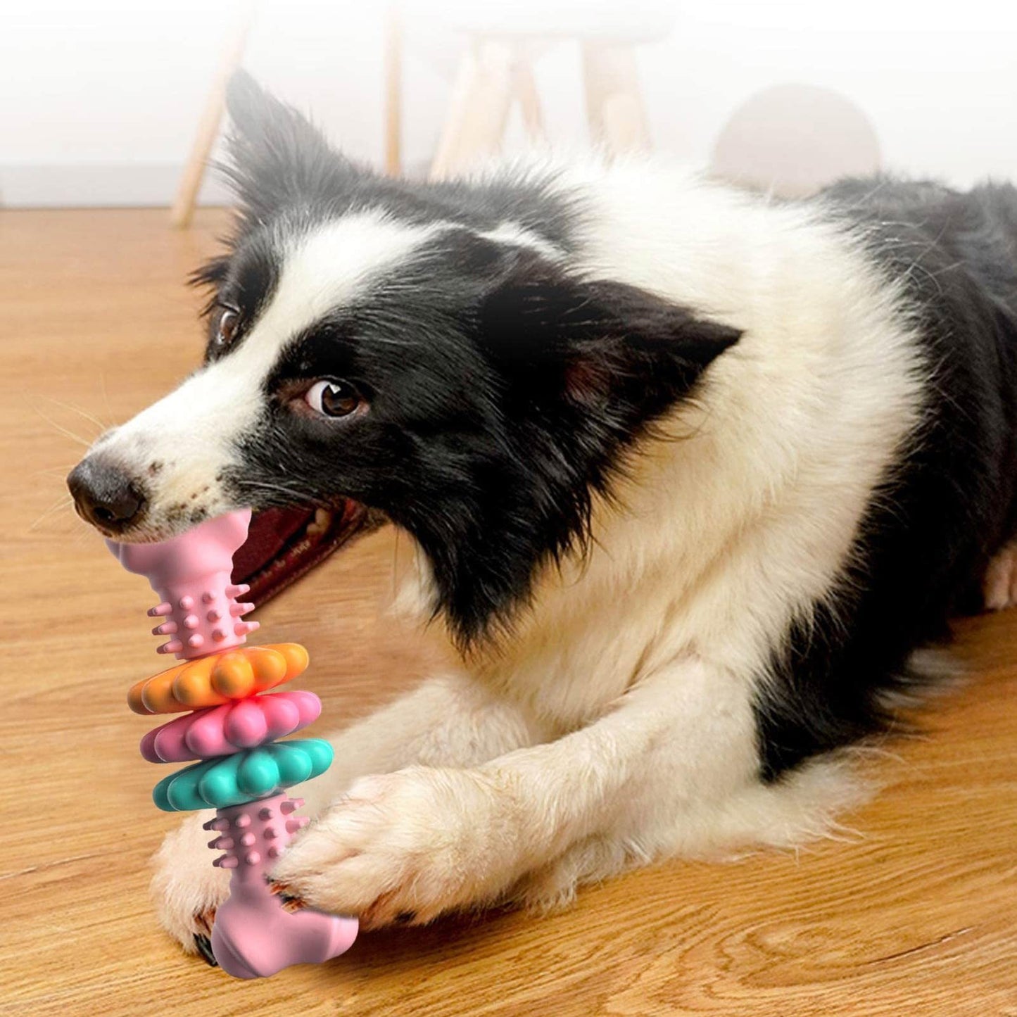 ARENVIA - Dog Chew Toy Dog Bone Type  Dogs Teeth Cleaning Toys Indestructible TPR Bone Chewing Bite Resistant Teething Toys  Pet Products