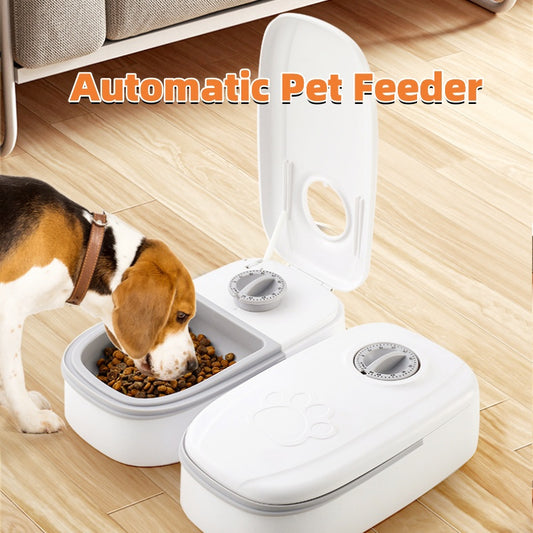 ARENVIA - Automatic Pet Feeder Smart Food Dispenser For Cats Dogs Timer Stainless Steel Bowl Auto Dog Cat Pet Feeding Pets Supplies