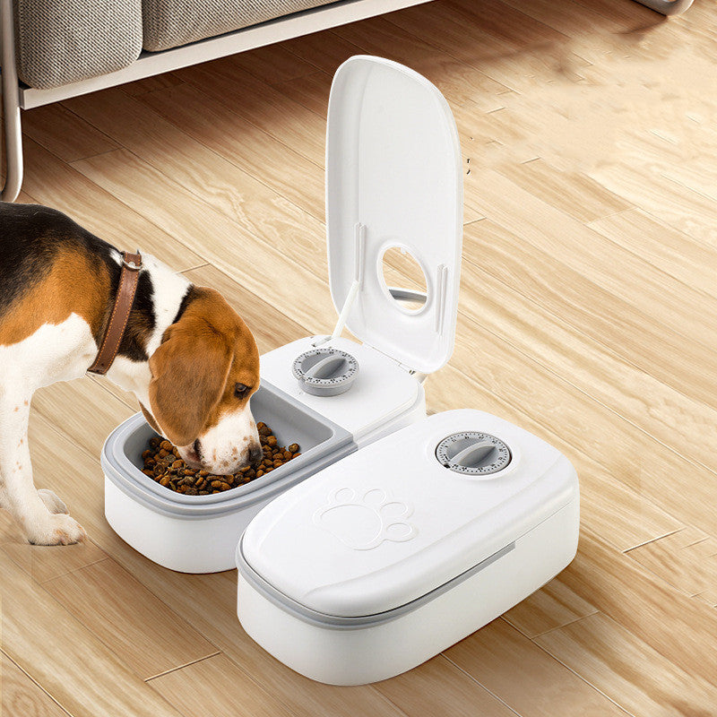 ARENVIA - Automatic Pet Feeder Smart Food Dispenser For Cats Dogs Timer Stainless Steel Bowl Auto Dog Cat Pet Feeding Pets Supplies